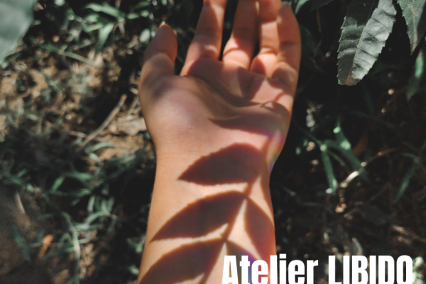Atelier LIBIDO - weekend du 22&23 novembre 2025